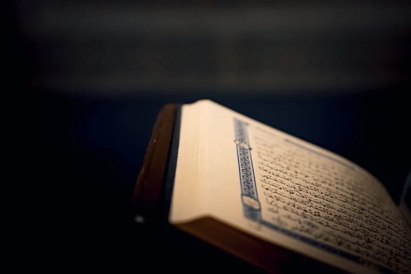 Seeing a Surah Unfold: A Guide to Visualization